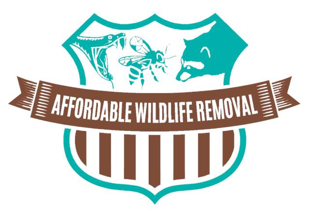 AWRemoval